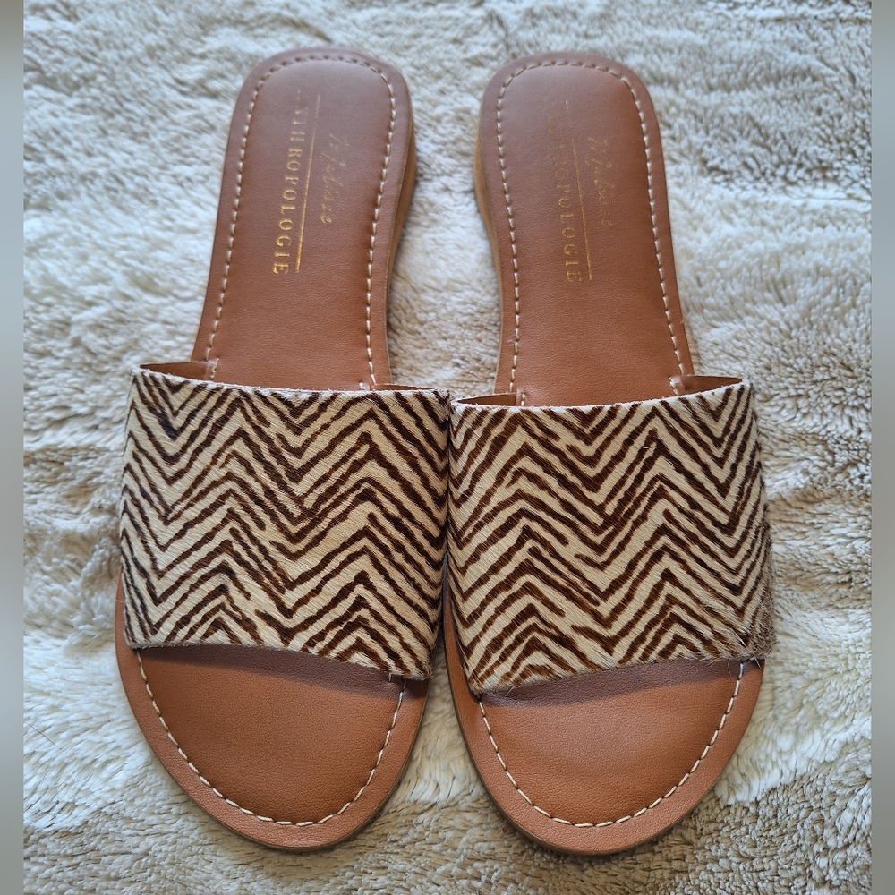 Matisse Anthropologie Slides 9